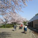 特養☆お花見