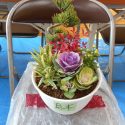 「中庄寄せ植えの会」に参加☆